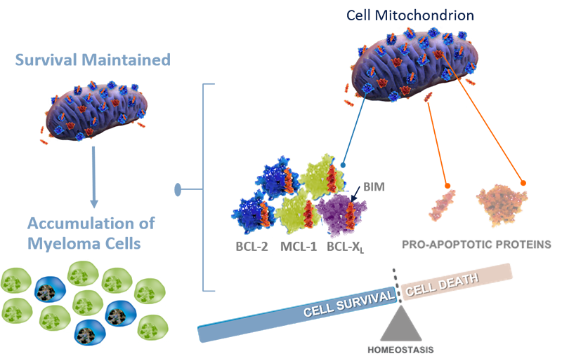 Tumor Types