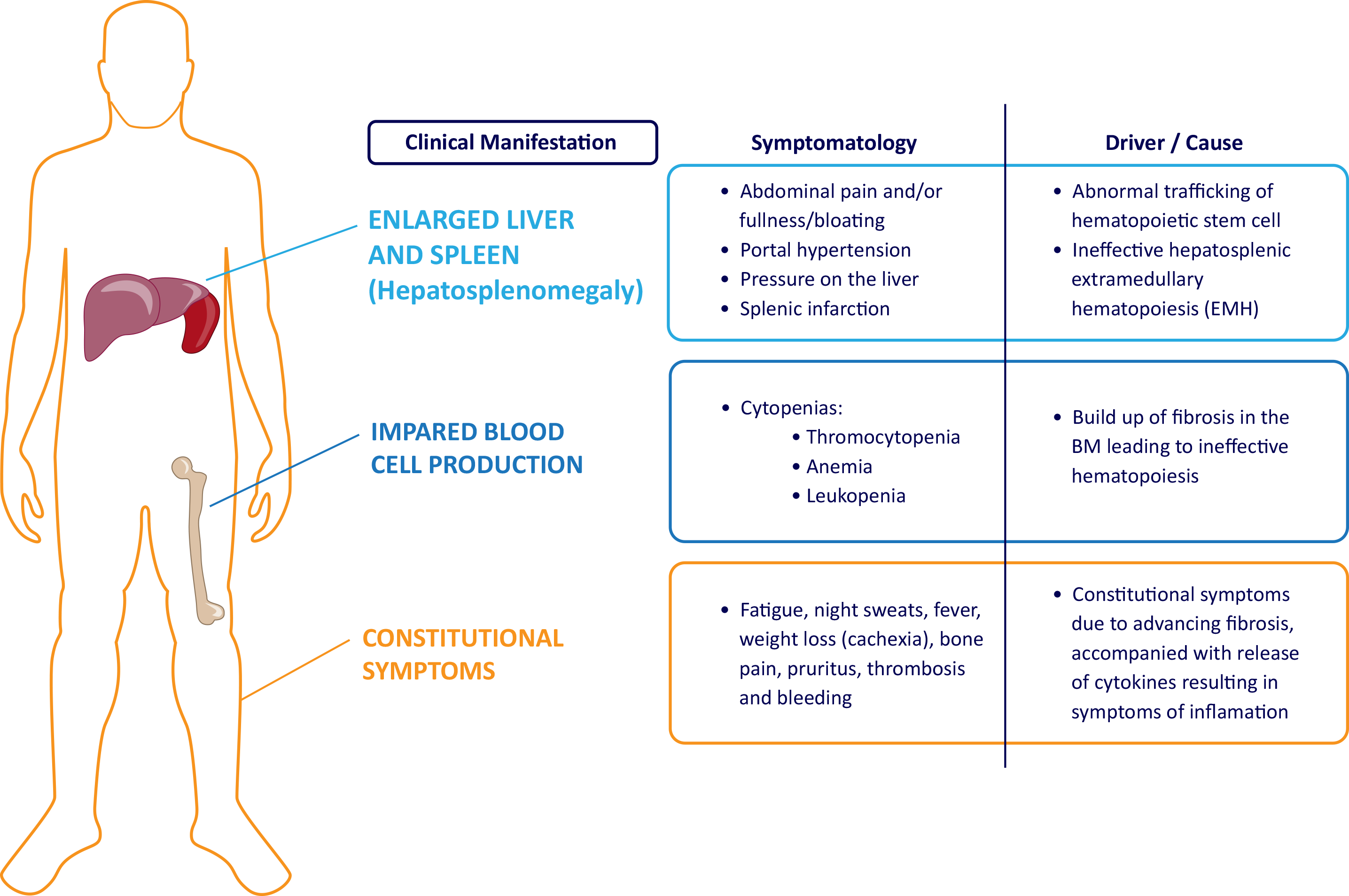 Tumor Types