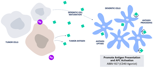 Immuno-Oncology